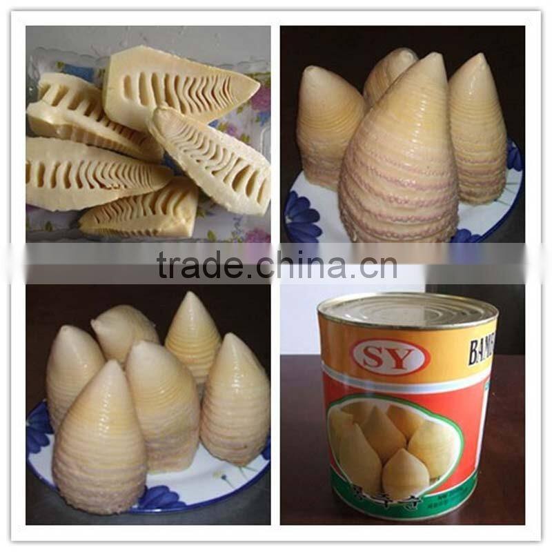Canned Water Bamboo Shoot 2950gram N.W