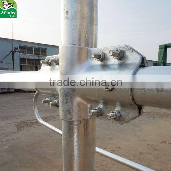 Hot dip galvanised Single Type Free Stall Cow