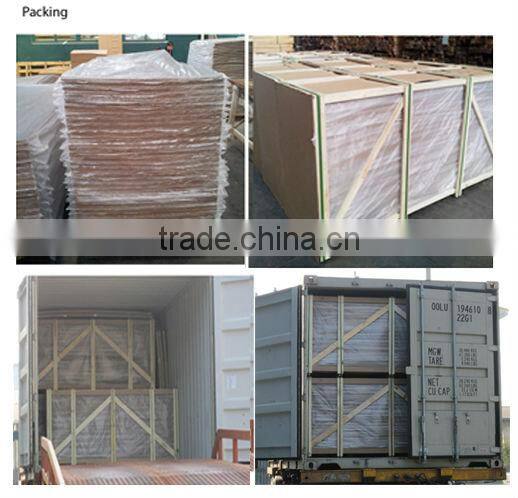 Elegant designed EV Oak veneer door skin