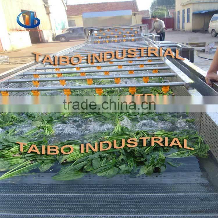 fully automatic pomegranate washing machine