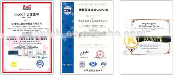 Anti-Fever blackcurrant extract for cardiovascular protect