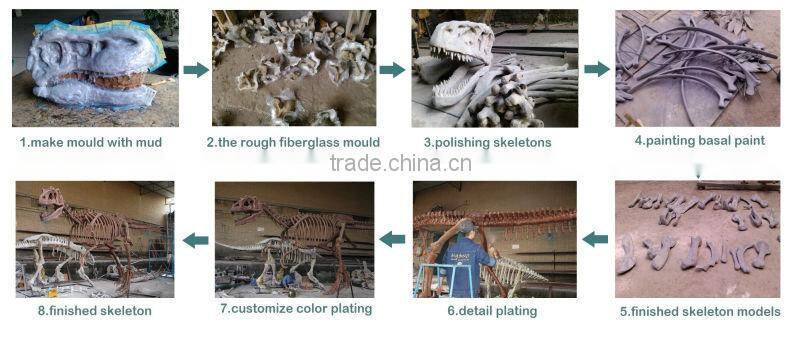 MY Dino-C058 Water park whale skeleton for sale