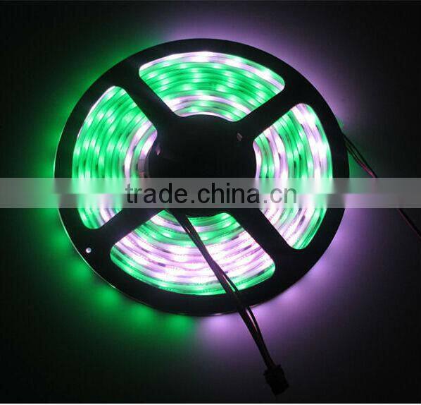 Waterproof dmx rgb led strip ws2801 ip67