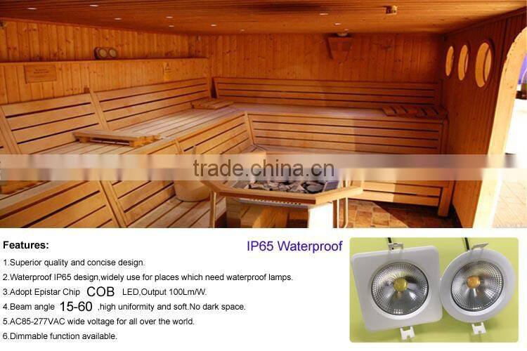 Square led ceiling lamp Waterproof IP65 COB led down lamp 12W 15W high CRI>80 white/black shell color