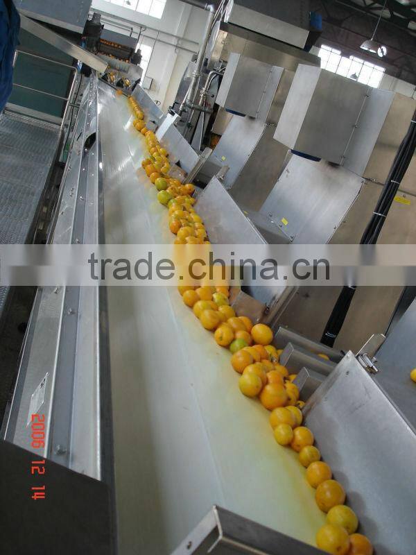 citrus processing line for produce orange juice