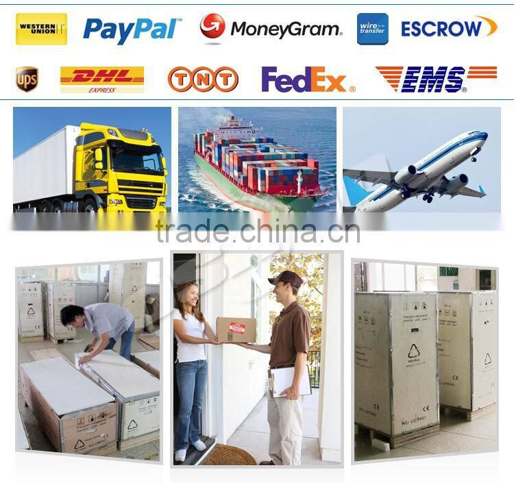 Multi-Function Beauty Equipment Type Cryolipolysis System