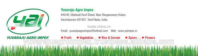 Rice Bran Oil Exporter In India