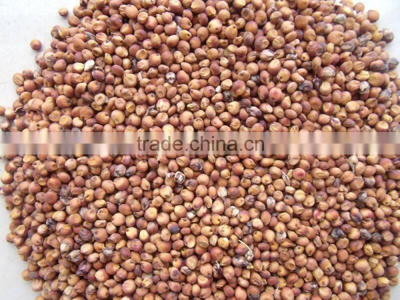 Price Of Red Sorghum