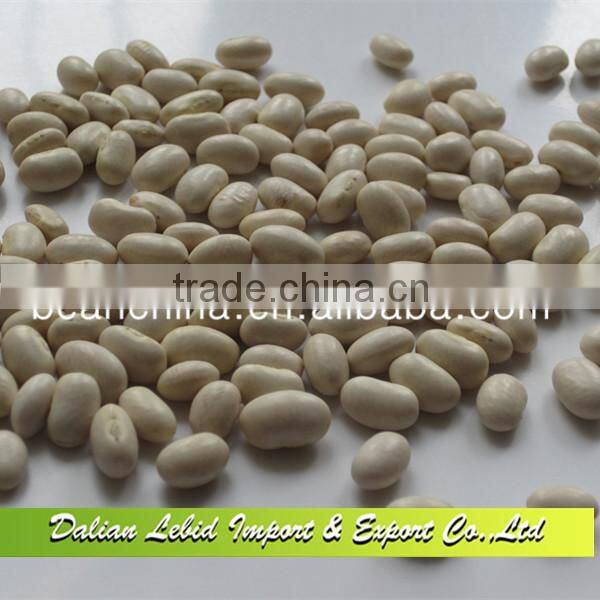 High Quality Dry Japanese Type White Kidney Beans Wholesale