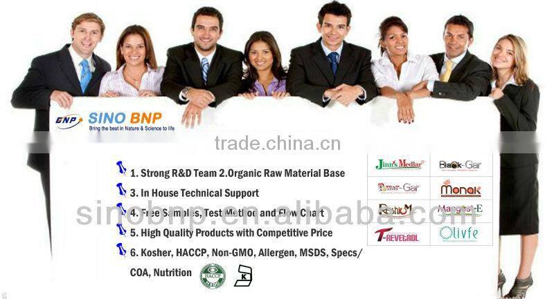 BNP Natural 95% Piperine Black Currant Extract Powder