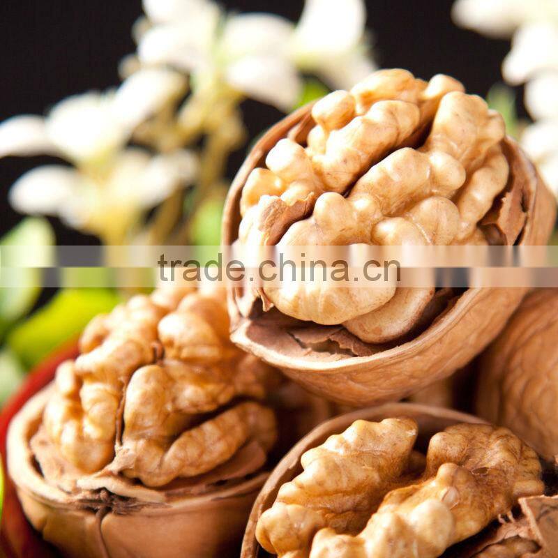 xinjiang walnut