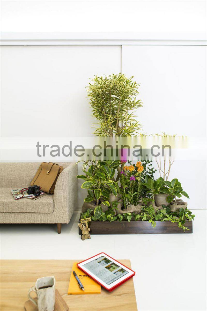 Perfect waterproof wooden planter box for Indoore Gardening