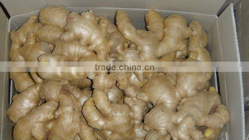 Chinese fresh ginger