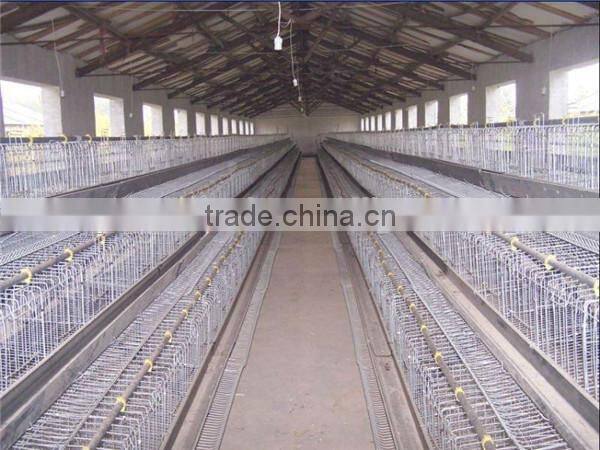 high quality galvanized welded wire chicken cage for poultry