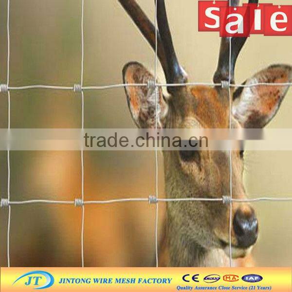 high end hot dipped galvanized cattle mesh fence with reasonable price in store