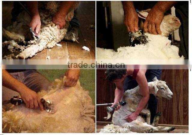 Manufacturers 350W sheep hair clipper, sheep shearing machines