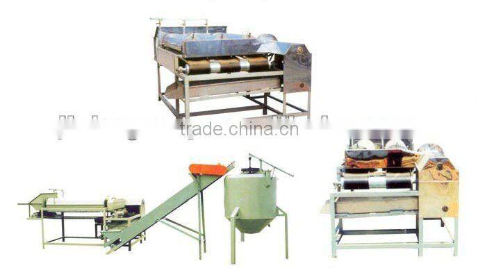 Peanut in shell washing machine