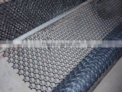 plastic grating panel/rigid plastic mesh/garden supplies