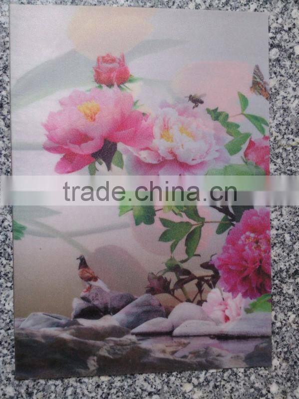 lamination film( EVA)