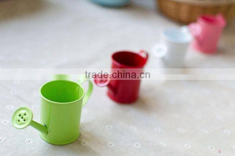 cheap small indoor 2 or 2.5 inches white metal flower watering can mini planter for succulents