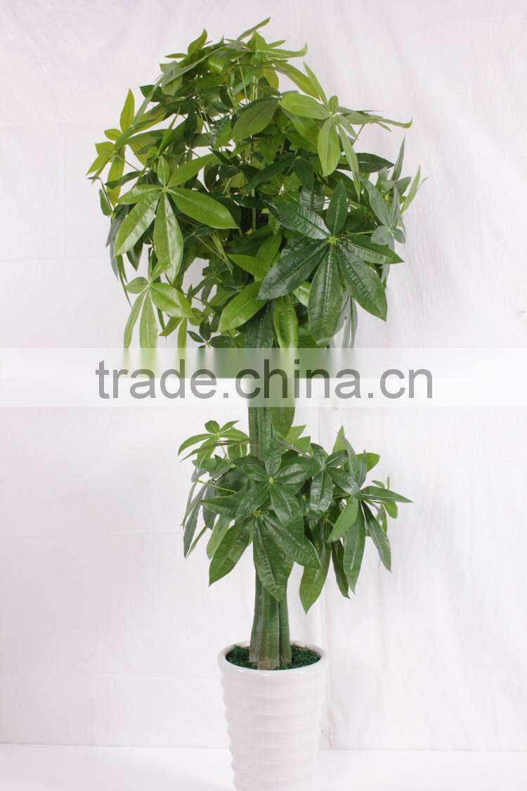 China hot sale evergreen fake money tree ,artificial Pachira