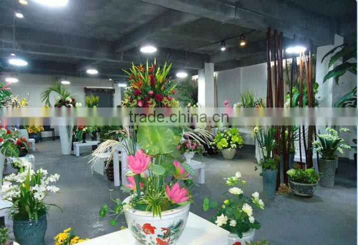 Decoration bonsai lucky tree at low price