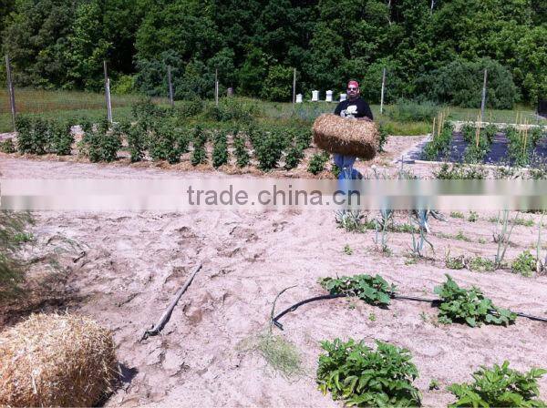 Heavy duty weed control sheet/liner