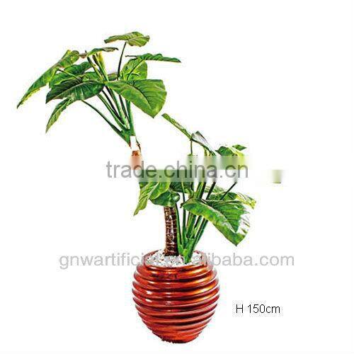 G50 GNW Artificial plants indoor office