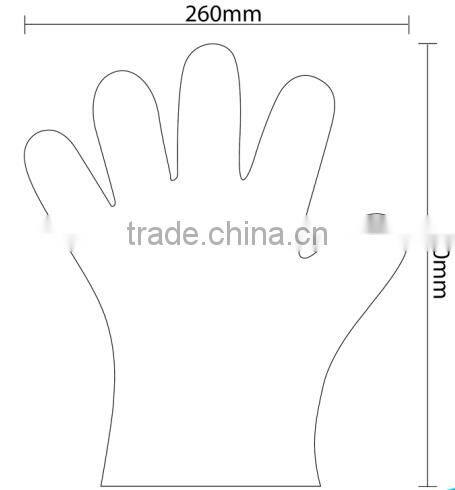 Disposable plastic sanitary PE gloves