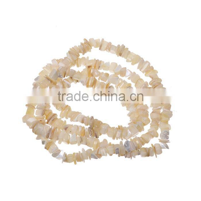 Shell Gemstone Loose Beads Irregular Natural