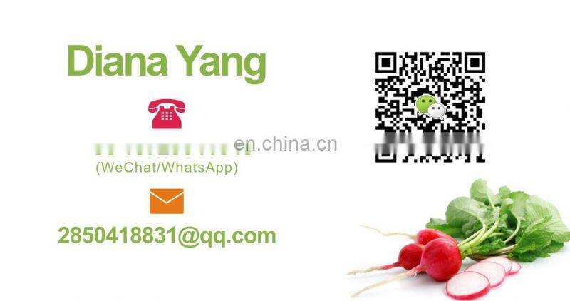 China Supplier High Efficiency Stainless Steel Meat Slicer