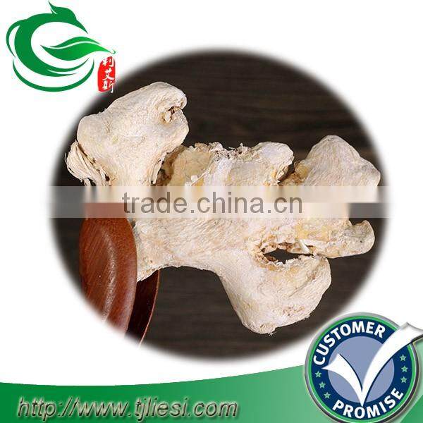 supply ginger roots with low price