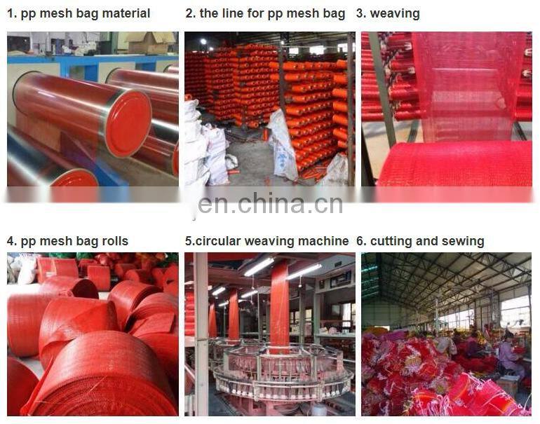 Eco-Friendly hot sale Garlic drawstring mesh bag