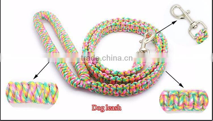 wholesale pet dog training collar leash