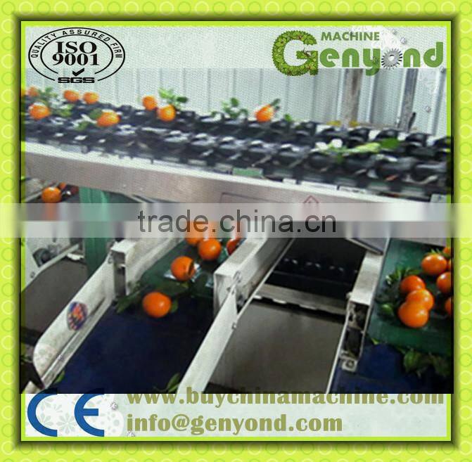 stainless steel small fruit weight sizing machine