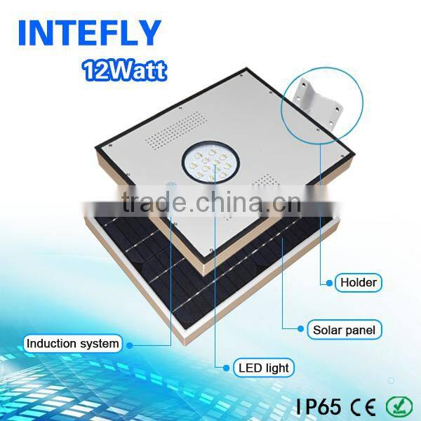all in one 12w solar power lamp, solar power fluorescent lamp