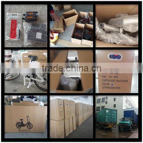 2014 new mountain lithium electric bike with Middle driver motor