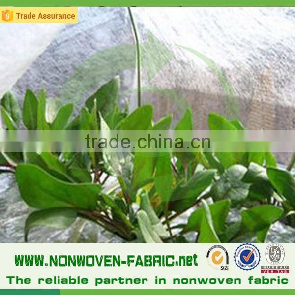 Water Permeable Agriculture Non woven Fabric/PP Spunbonded Nonwoven Fabric/Agriculture Ground Cover for Plant