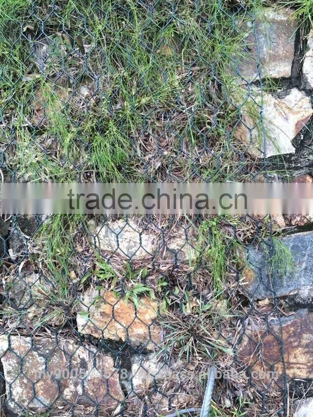 High Quality Gabion Box /Gabion Mesh /Hot Dipped Galvanized Gabion Box