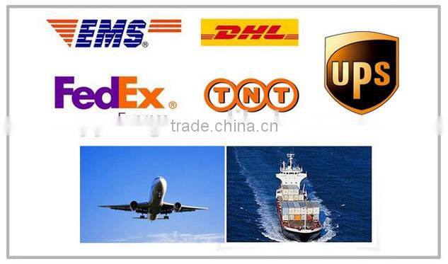 Plastic magnetic name tag holder