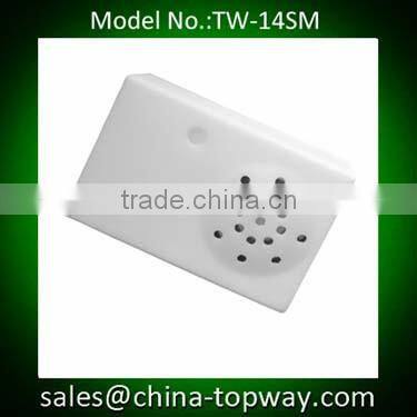 Professional factory for making programmable sound music boxes