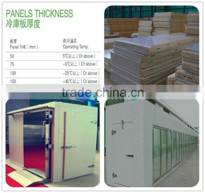 Standard Cold Room/ PU cold storage room / storage freezer room