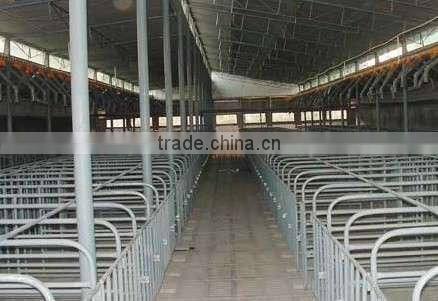 pipe for Sow cage/sow farrowing pens fatten cage for sale