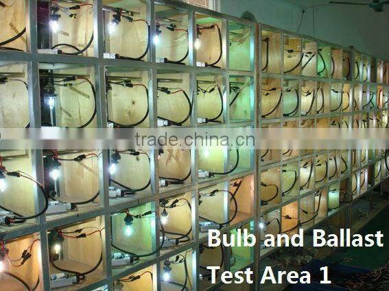 Best wholesale hid kits/hid xenon headlight H4H/L 8000K 35W 55W