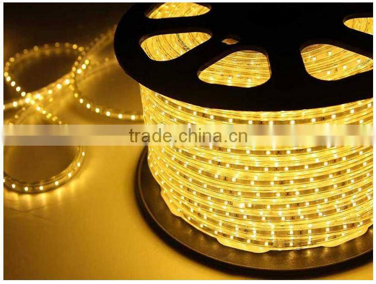 IP65 waterproof for outdoor 60LEDs/Meter 3528 230 led/m strip