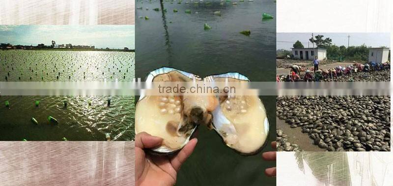 Luster Wish Pearl for Jewelry Various Colors Size Shapes