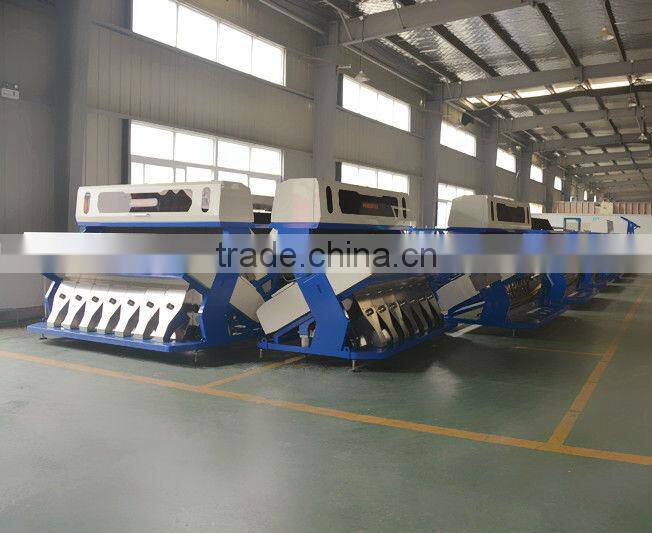 Automatic buckwheat color sorter machine, Vision's CCD wheat color sorter machine! With Japan Nikon camera and Schneider switch!