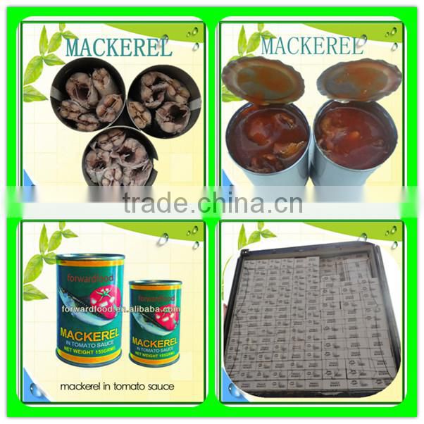 155g canned mackerel in tomato sauce