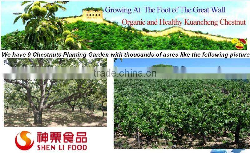 Ready to Eat Healthy Snacks Nuts --Nautral sweet and soft taste