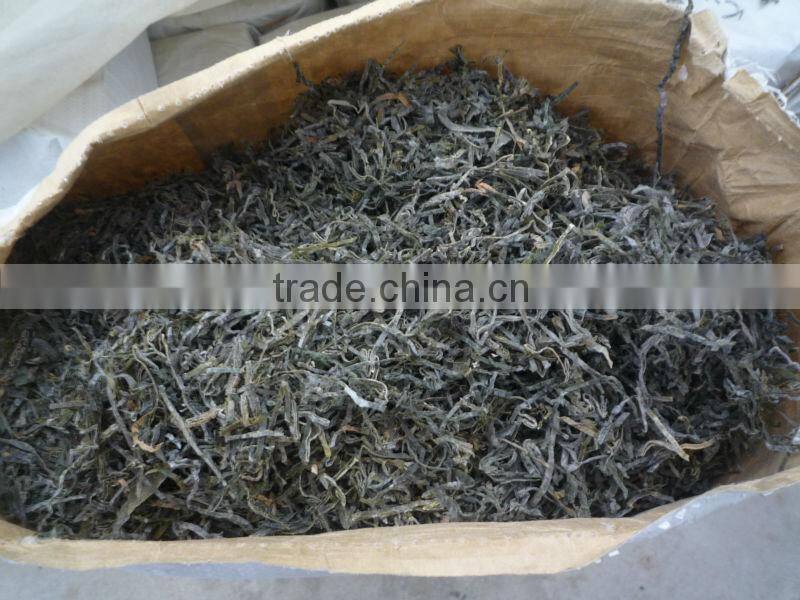 Top selling grade A dried shredded kelp